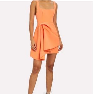 NWT Acler Clark size 4 US